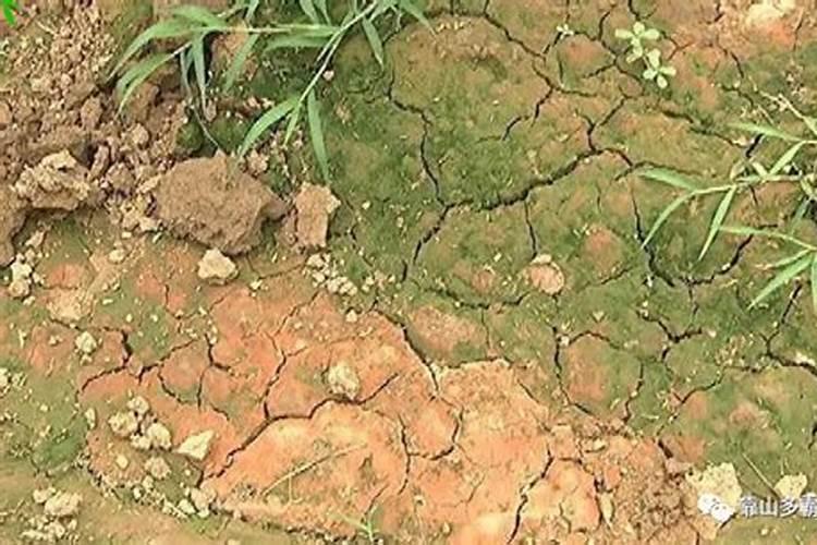 为什么年年都在施钾肥,作物却还是缺钾？