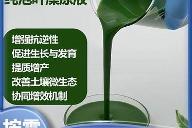 氨氮超标的主要原因,到底是什么？