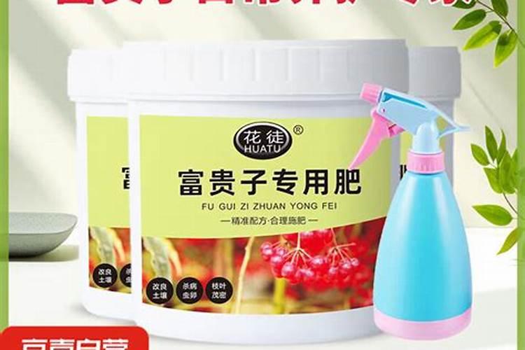 富贵子用什么肥料好