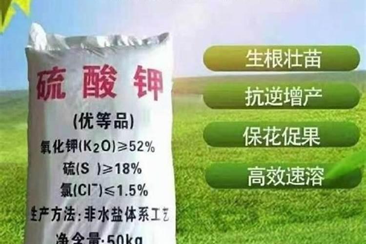 水溶性氧化镁有哪些作用