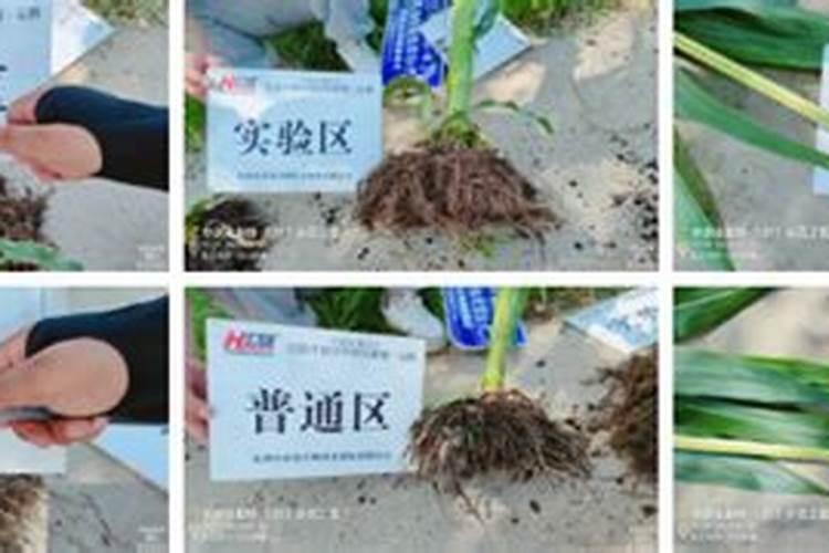 碳酶铵钾的作用