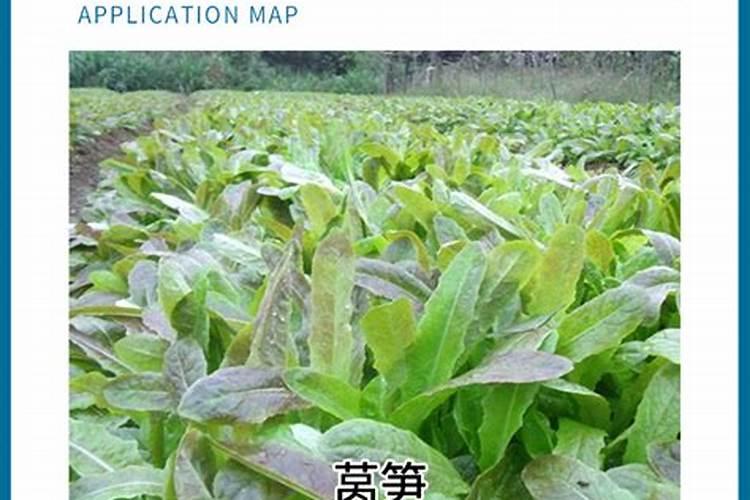 钼肥和硼肥可以一起用吗 注意事项有哪些
