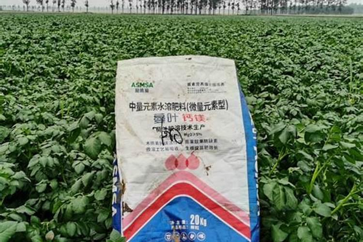 桃树用什么肥料最好