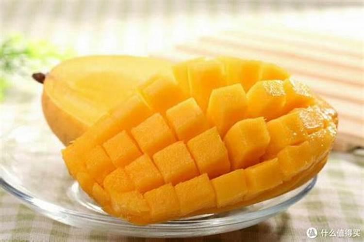 芒果树结果期怎样施肥