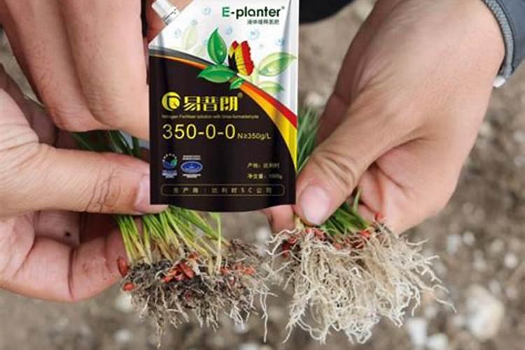 春季是使用金宝贝微生物菌肥的最佳时期!