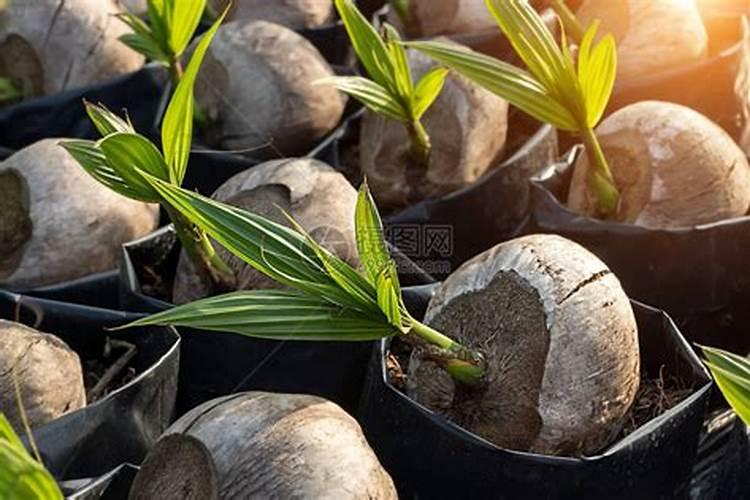 想知道成田剑有配过几个角色？