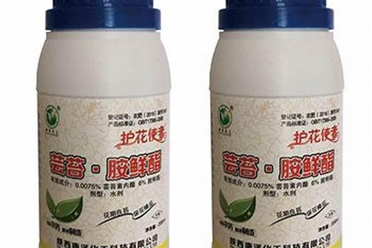 芸苔素内酯与赤霉素的区别