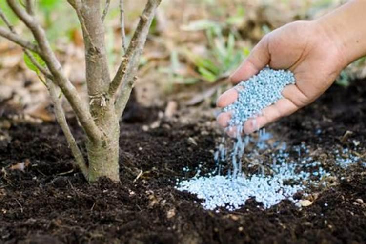 【陕西延长石油(集团)有限责任公司】在咸阳有哪些下属企业？