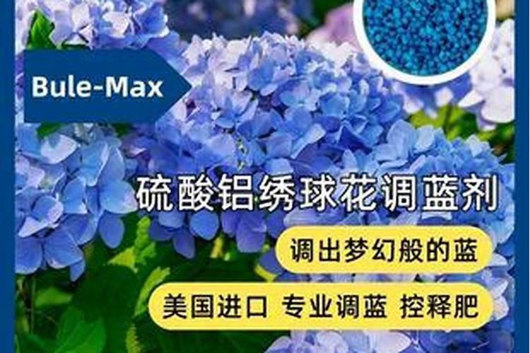 绣球花施什么肥