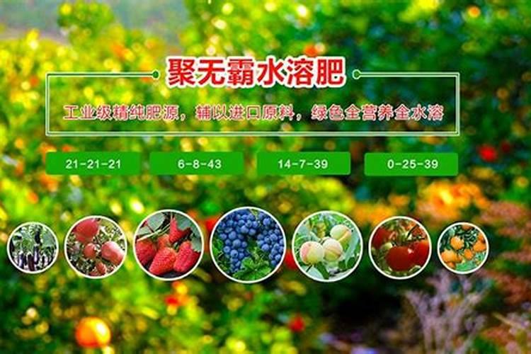 水溶肥为什么比复合肥好？