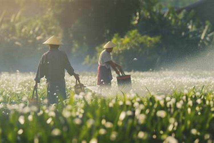 肥料严重烧根怎样补救