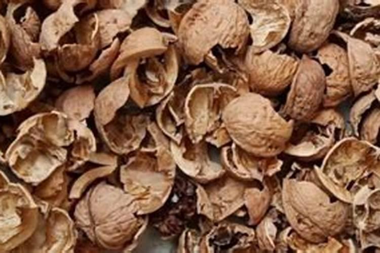 核桃坏了怎么当花肥 核桃坏了如何给花当肥料