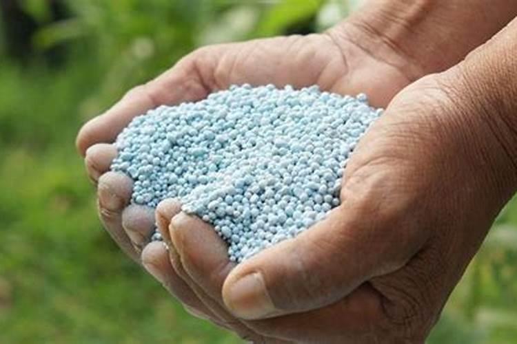 樱桃园现在要不要施些肥,果子卖完后到现在就没上过肥。