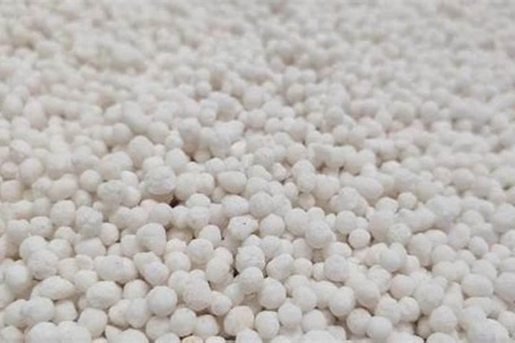 多肉植物冬天怎么养 冬季养护管理注意事项