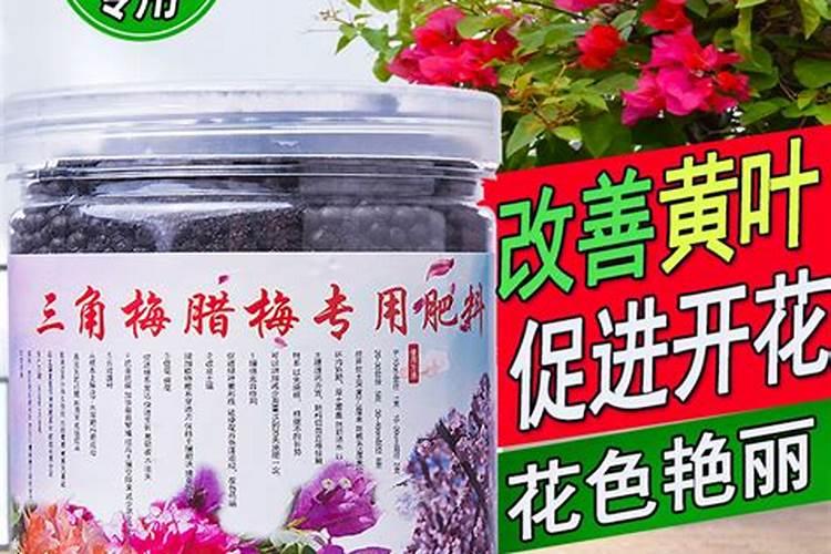 苹果树上什么肥料好 苹果树上哪些肥料好