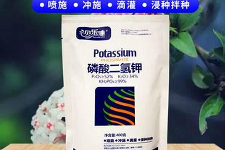 玉米专用叶面肥什么牌子好