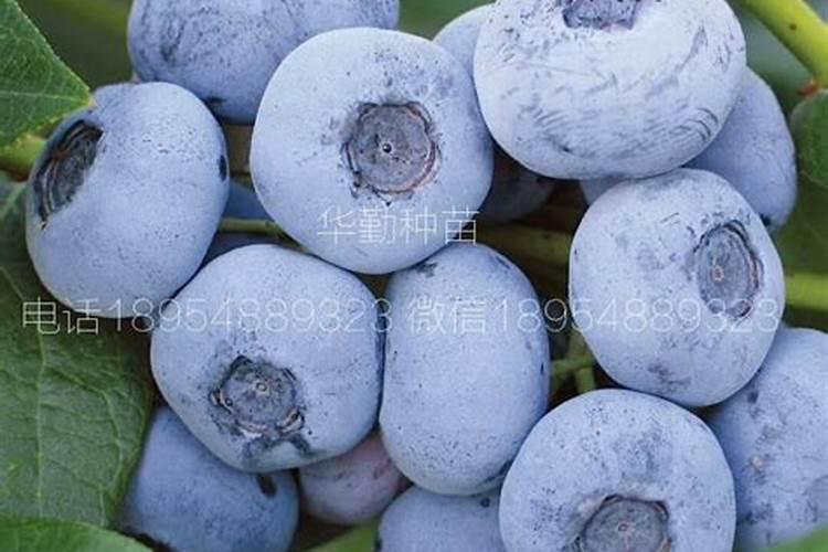 去东莞市石碣旭田电子有限公司工作好不好？有谁知道的告知下,因为我收到...