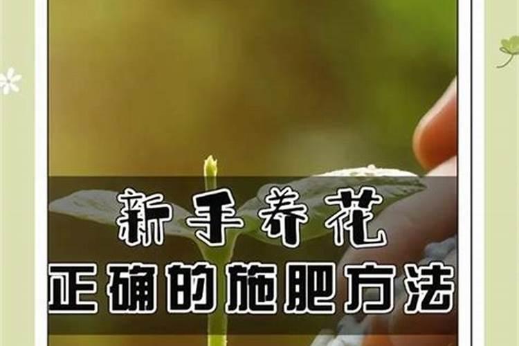 桂花冬天用不用施肥？