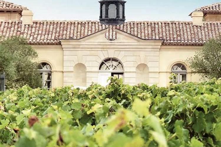 雅斯诺水溶肥怎么样好用吗