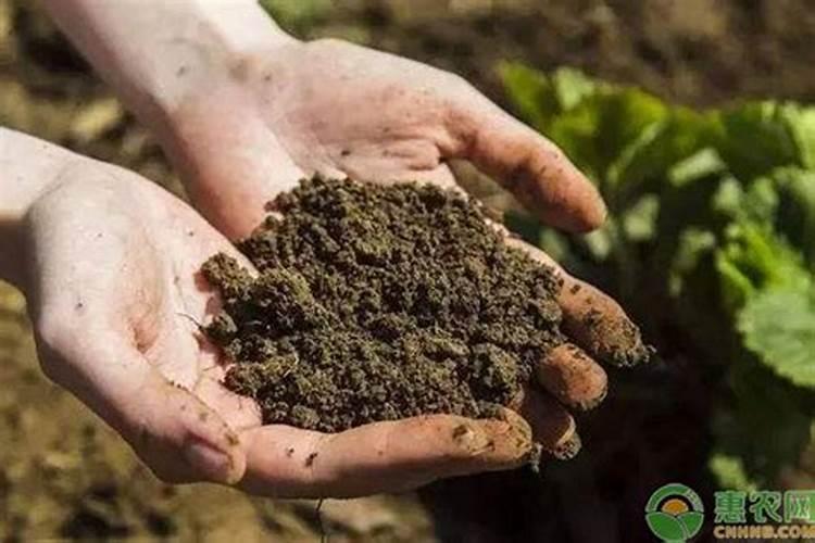 希腊神话:大力士赫拉克勒斯()