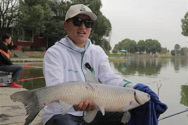 鱼塘下鱼药了多久可以钓鱼？