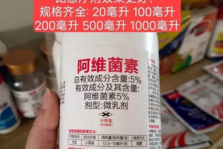 西瓜苗黄叶卷叶怎么办