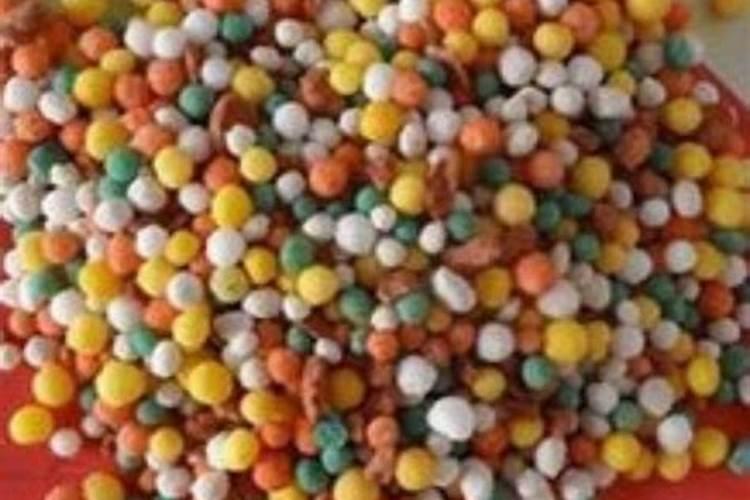 食叶草的养殖方法和注意事项