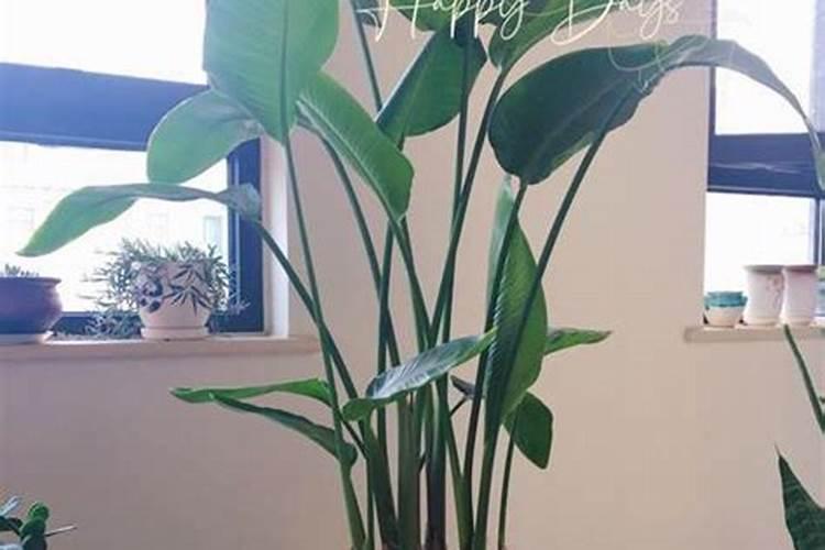 一年四季水果成熟季节一年四季水果什么时候成熟