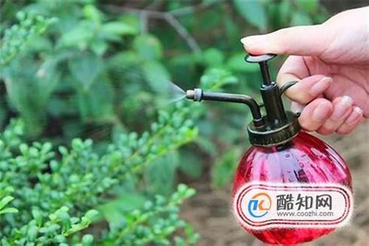 硫酸亚铁能和复合肥一起用吗 大家可以看看