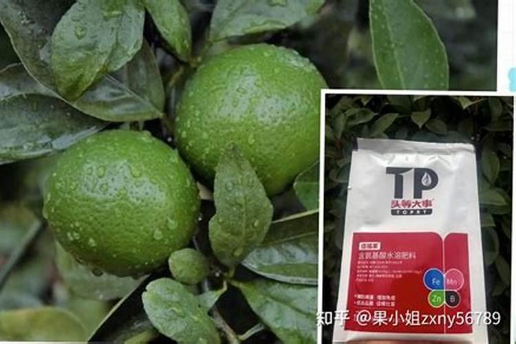 氮肥是什么肥料,哪些属氮肥