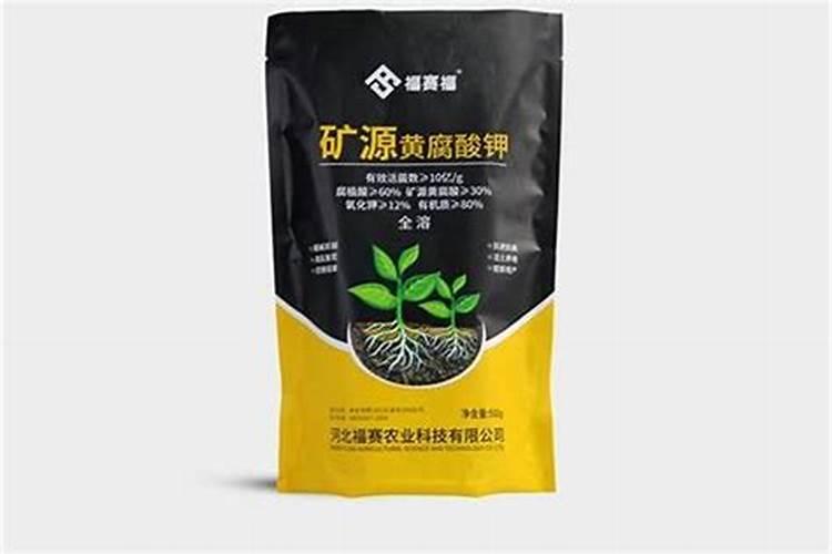 真相 儿童婴幼儿需要做微量元素检测吗？