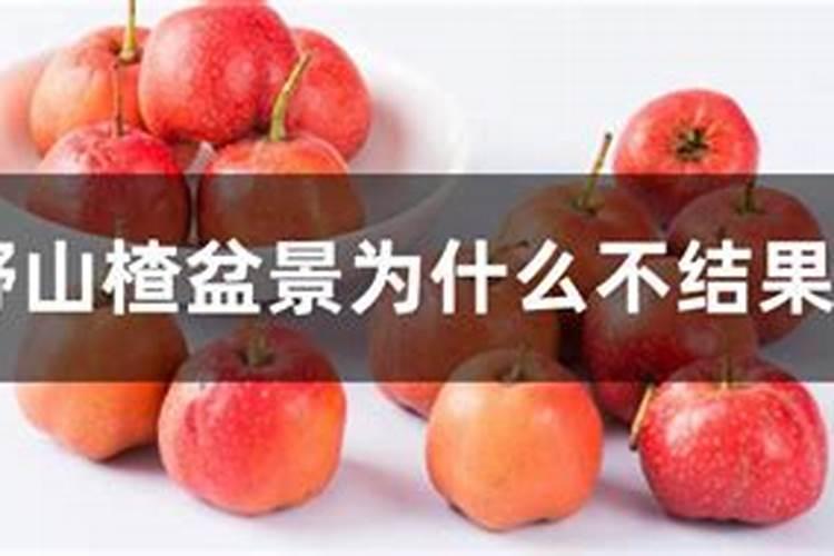 安达农森控股子公司拟投资1亿设立孙公司