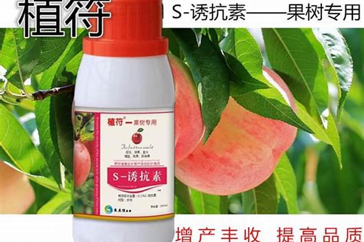 什么肥促进开花