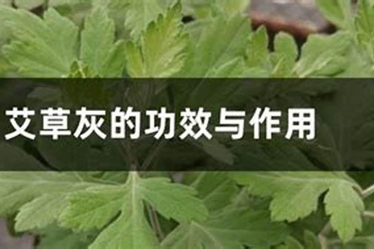 艾灰可以浇蝴蝶兰吗