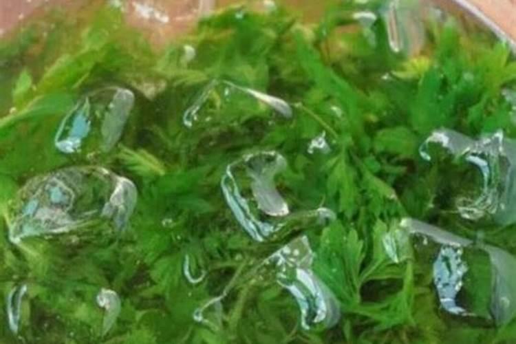 艾叶苍术灰可以做花肥吗？
