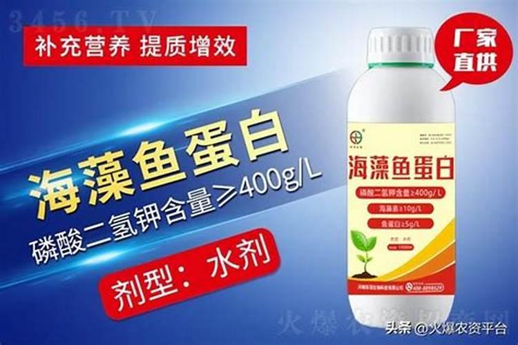 人尿可以作肥料使用吗