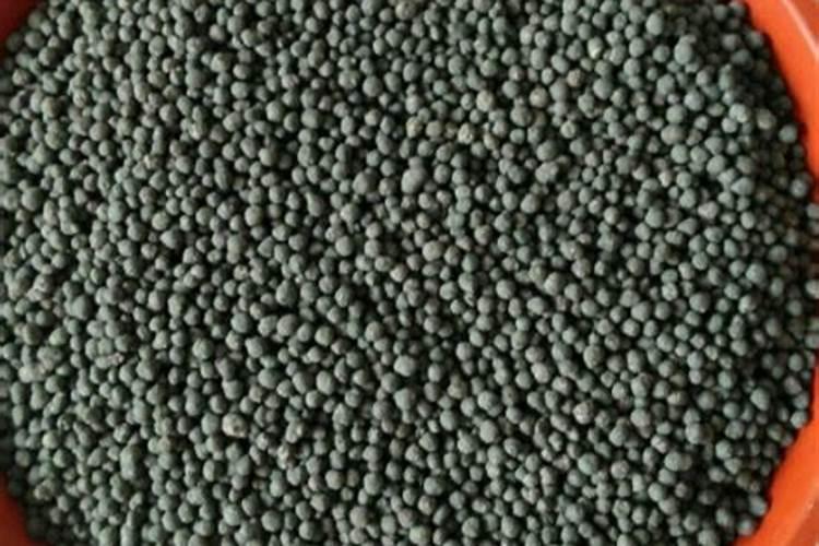 怎样给杜鹃花施肥？