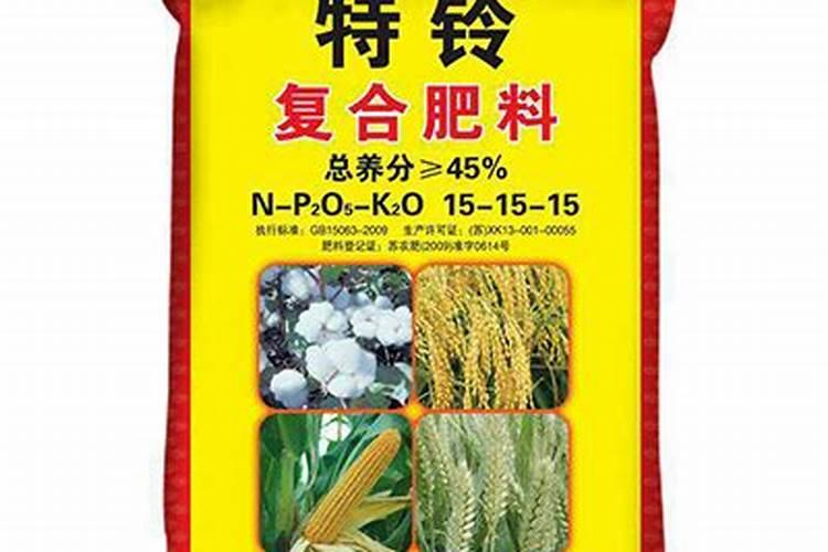 山药如何生长图片