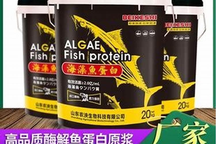 大白菜使用芸苔素内酯的技术和注意事项是什么？