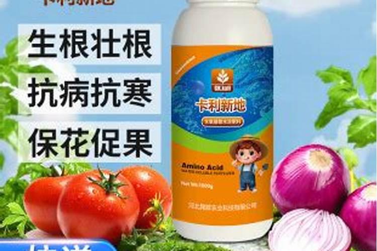 中国名牌肥料免检都是有哪 些