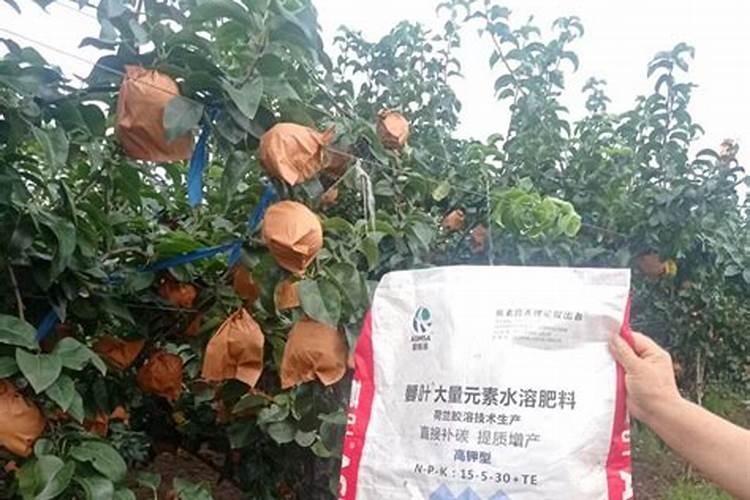 桔子皮泡水浇花适合哪些蔬菜种植？