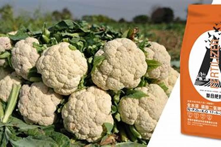 3月份种什么蔬菜合适