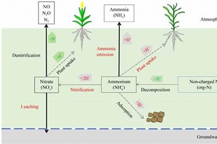 200公斤的桶子,它的高度和宽度具体为多少呢