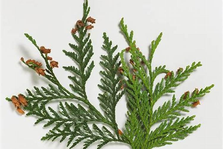 洛阳润宝研磨好干么