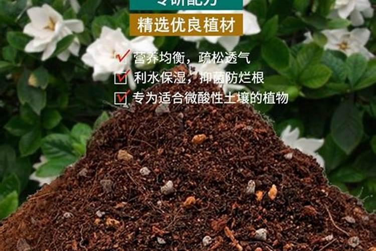 栀子花最忌三种肥料