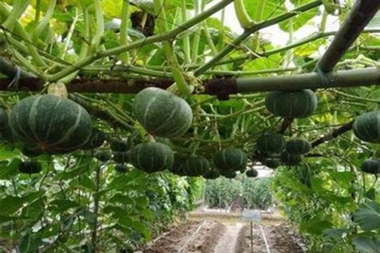 临颖产业集聚区什么级别