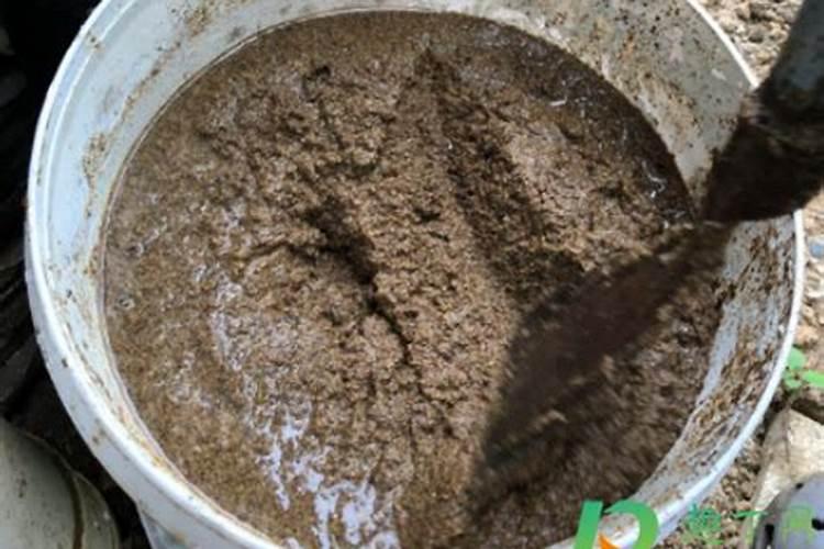 菜籽饼发酵水肥怎么用效果好