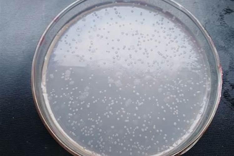 欢能肥厂家是正规厂吗