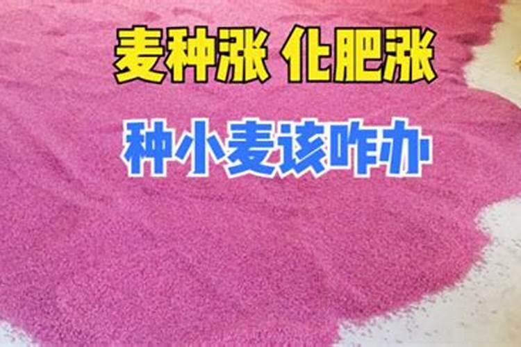 小麦灌浆期喷施什么叶面肥好