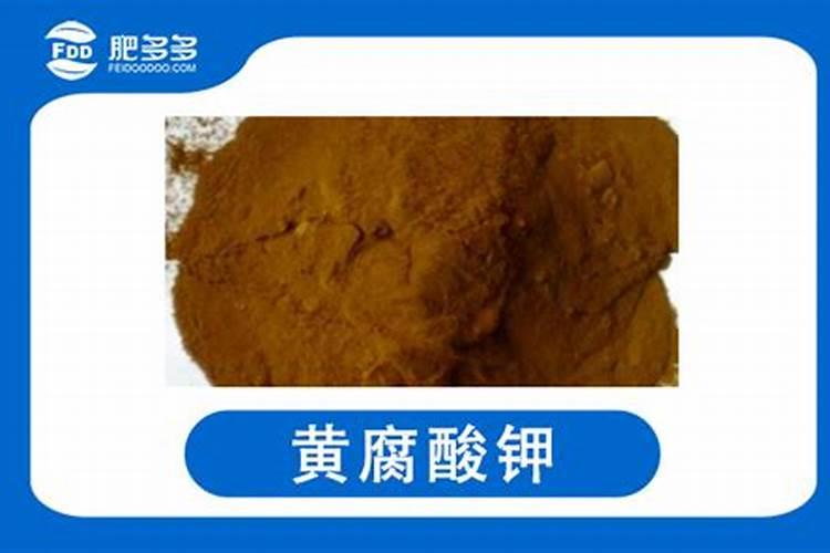 西瓜转色期需要多少天